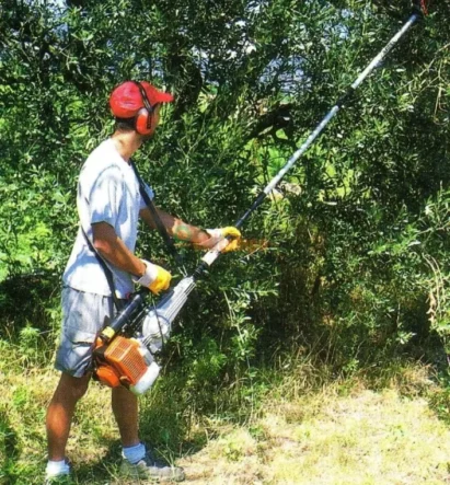 Varejadores Oliveiras