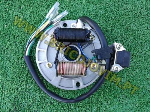 Prato Magnético Motores 4 Tempos Pit Bike - 2 Bobines - 110 e 125cc - Malcor
