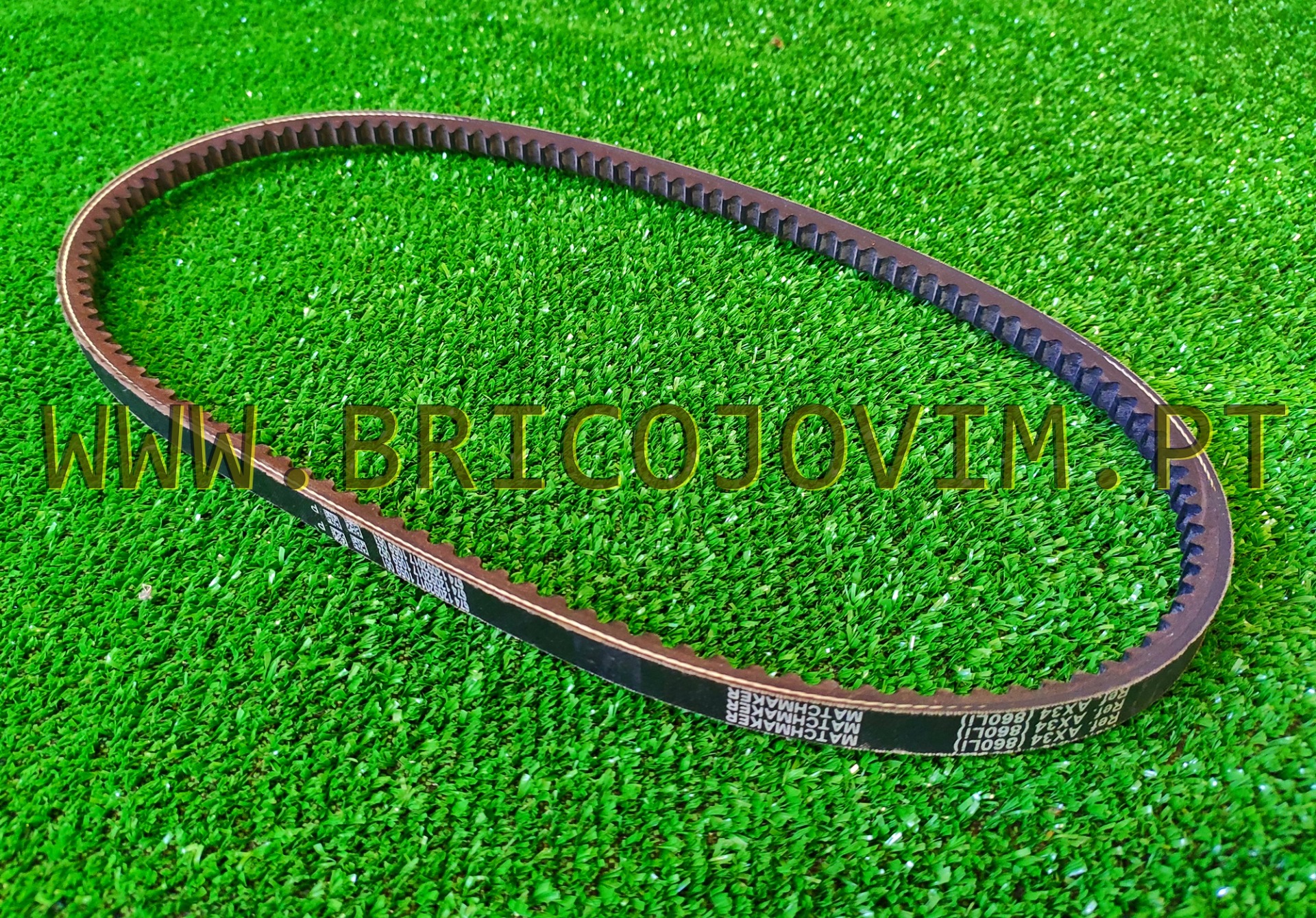 Correia Biotriturador com Motor 6.5cv - Goodyear / SporGarden